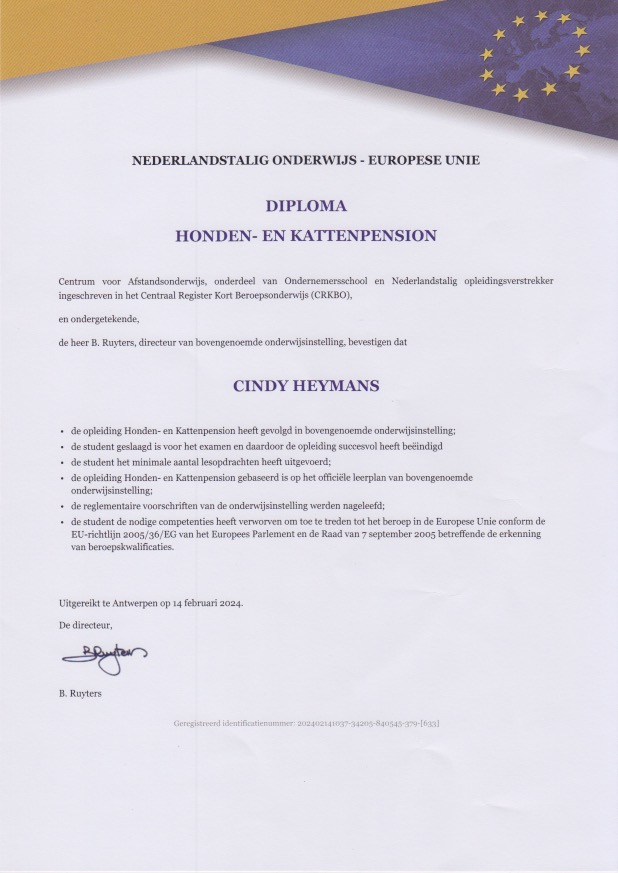 diploma Cindy Heymans van kattenhotel Catland